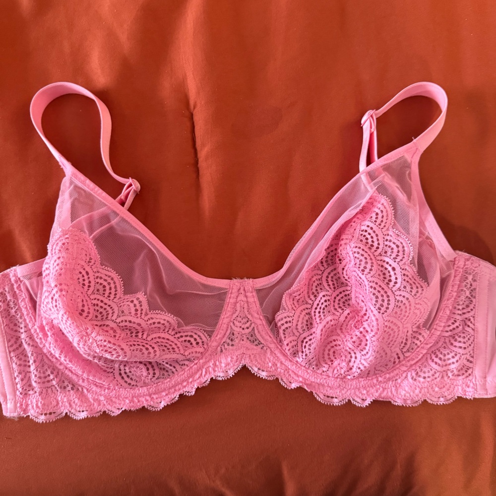 HSIA 34DDD Pink Lace Sheer Bra - Women Intimates & Sleepwear